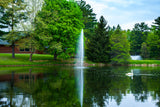 Triad Pond Fountain