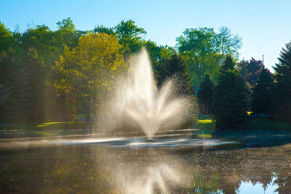 Triad Pond Fountain