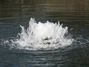 Boilermaker Pond Aerator